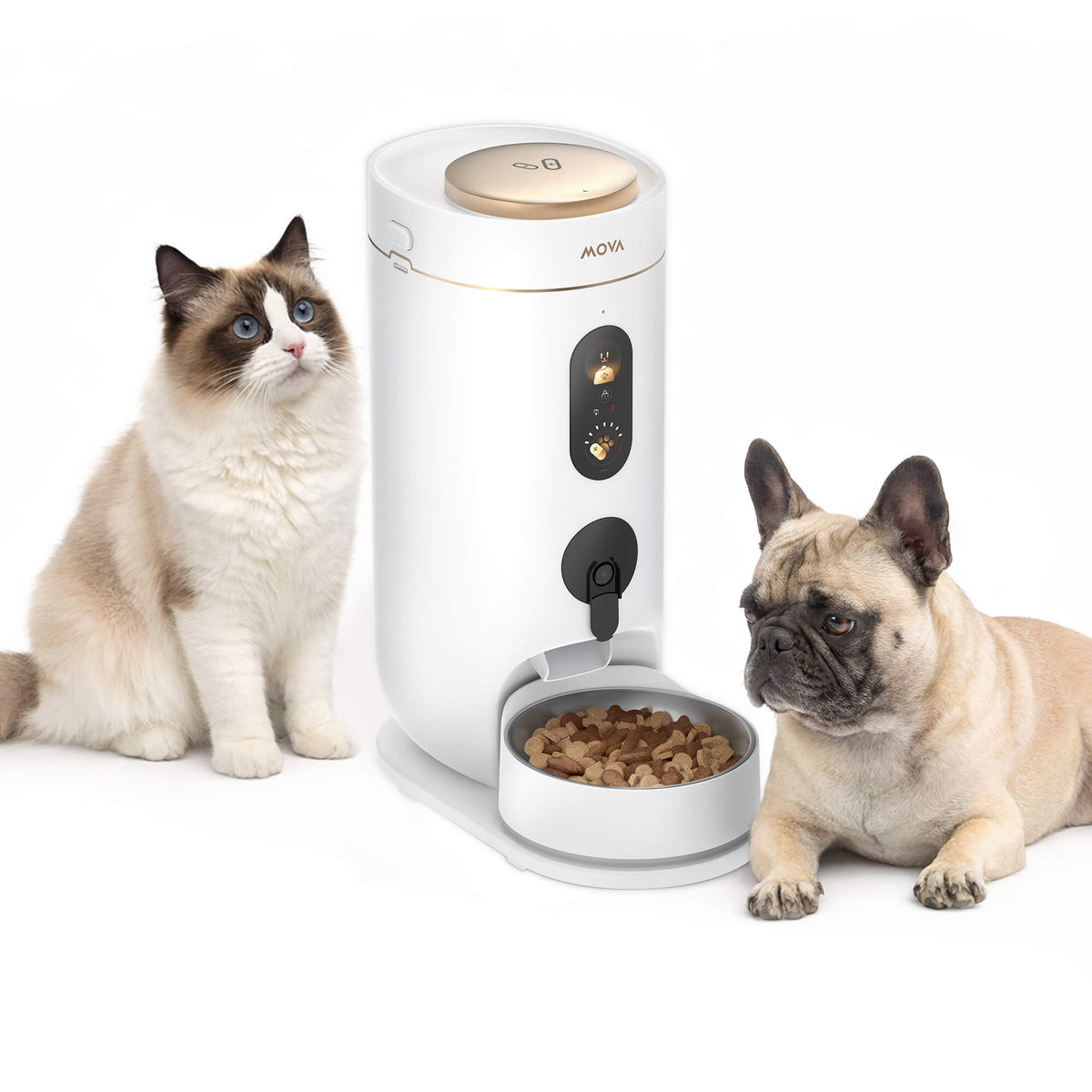 MOVA NutriPal 10 Ultra akıllı mama makinesi ile kedi ve köpek besleniyor