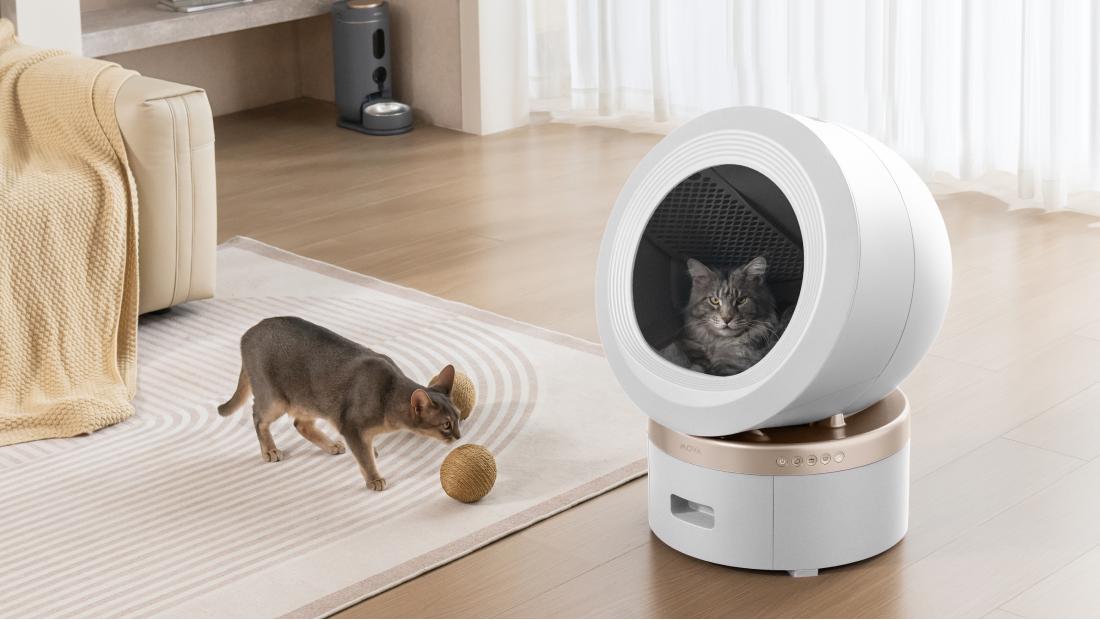 İki Kedi Aynı Tuvaleti Kullanır Mı? Ortak Kum Kabı Kullanımı Nasıl Olmalı?