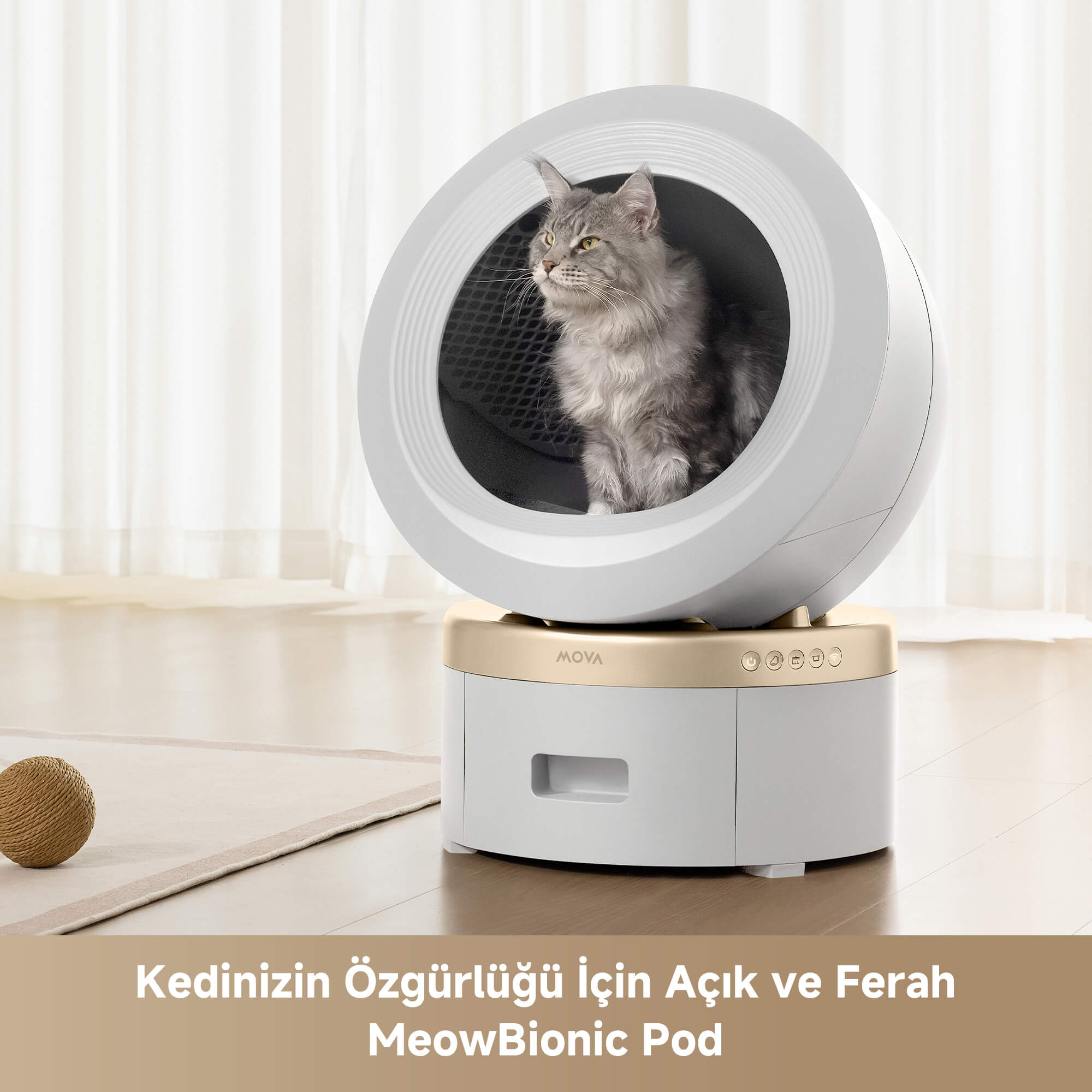 MOVA MeowgicPod LR10 Prime kullanan kedi.