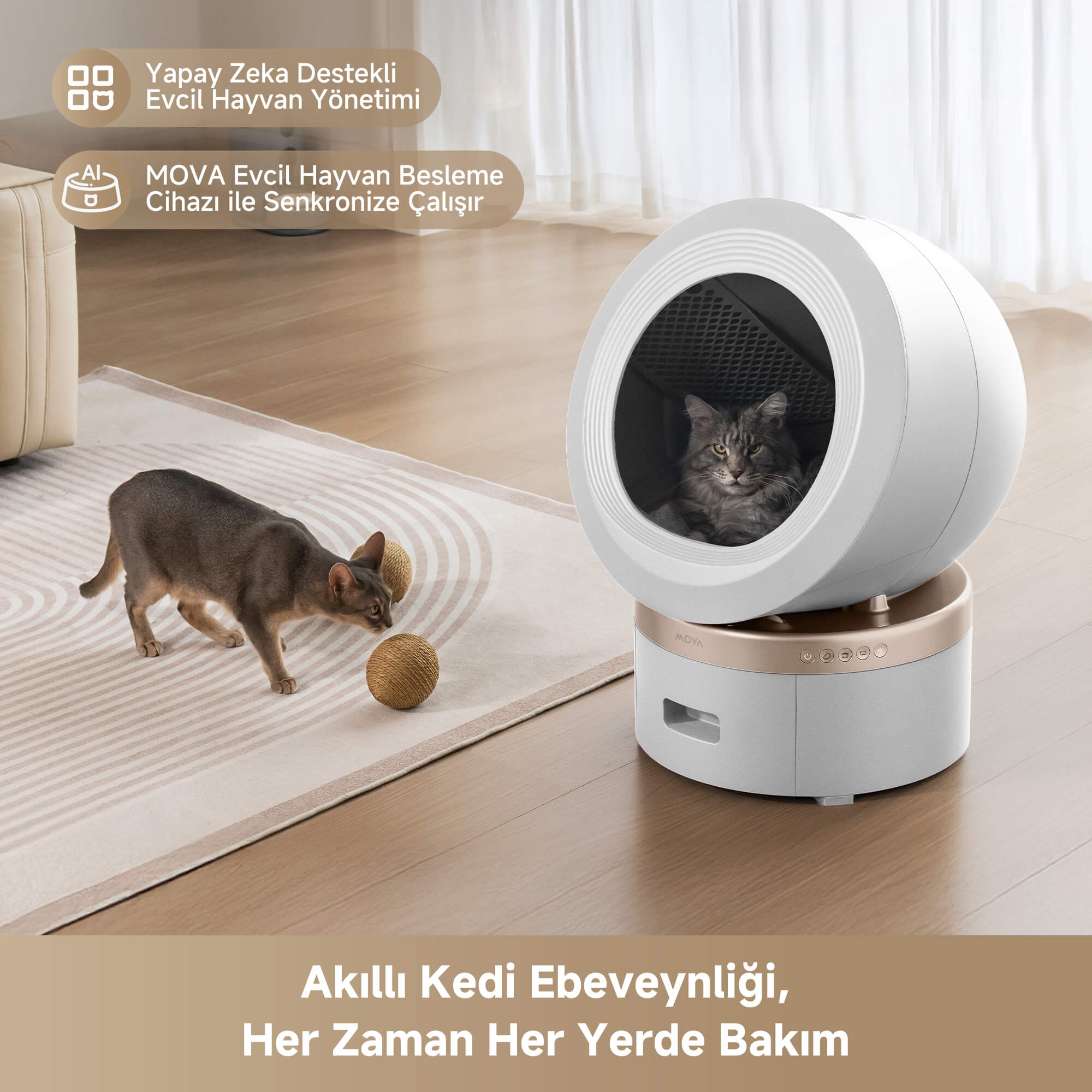 MOVA MeowgicPod LR10 Prime kullanan kedi.
