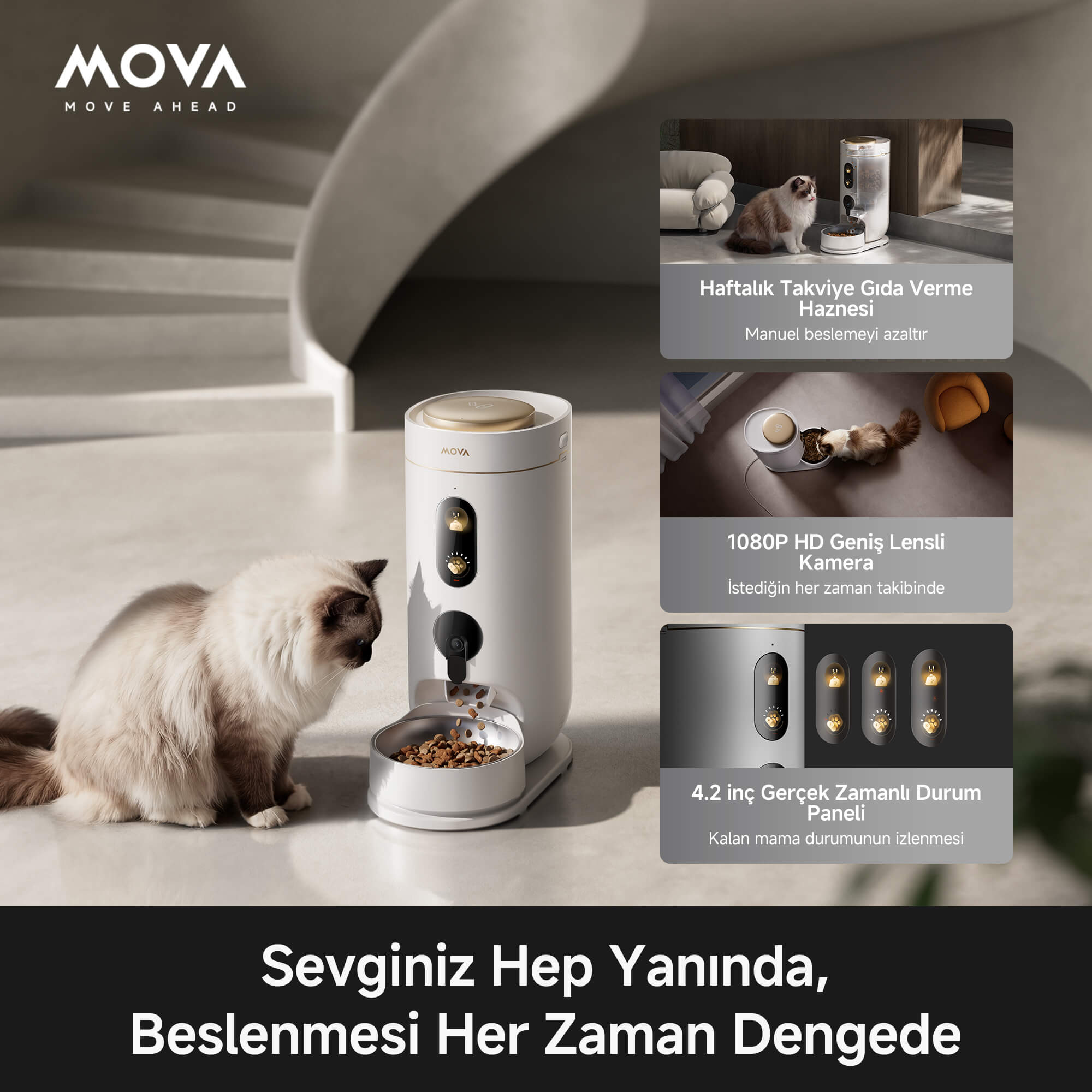 MOVA NutriPal 10 Ultra akıllı mama makinesi ile kedi ve köpek besleniyor 