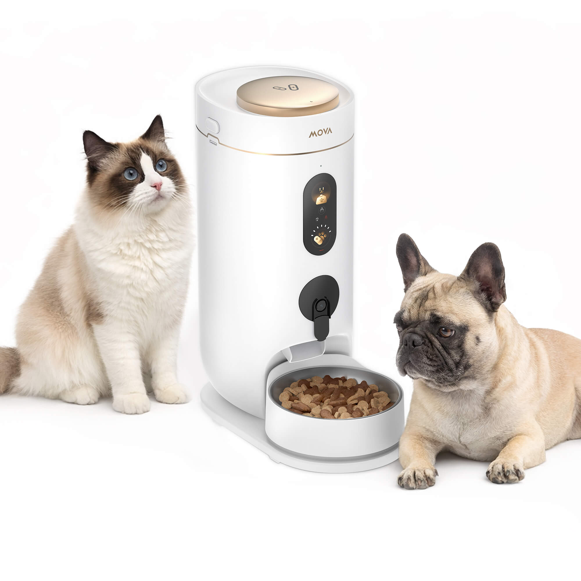 MOVA NutriPal 10 Ultra akıllı mama makinesi ile kedi ve köpek besleniyor