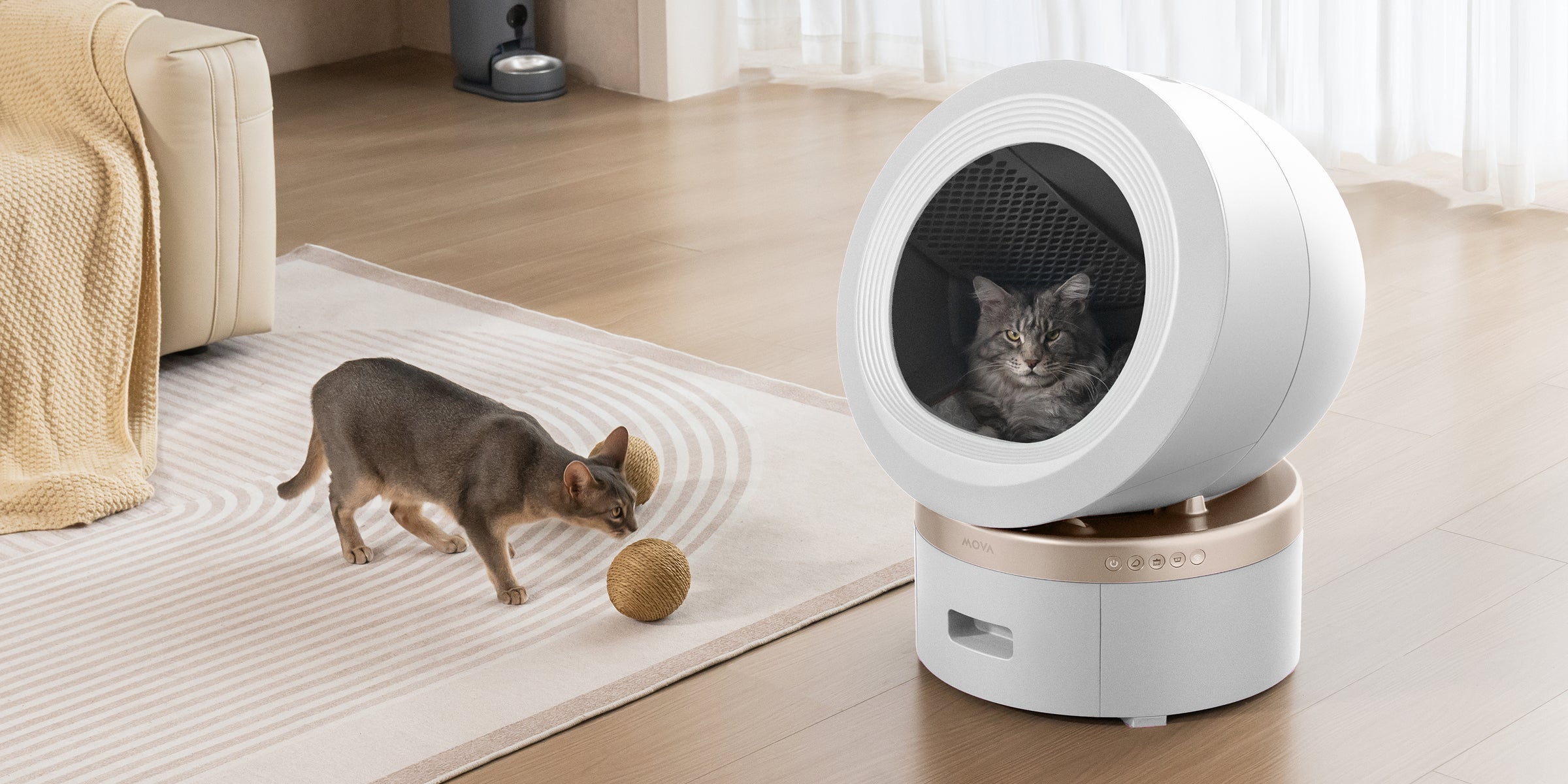 Akıllı Kedi Ebeveynliği, Her Zaman Her Yerde Bakım - 